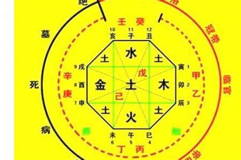 喜五行|八字中喜神忌神对照表 八字算命喜用神速查表